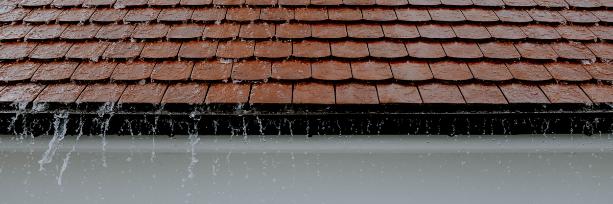 Does Home Insurance Cover Roof Leaks? One Broker