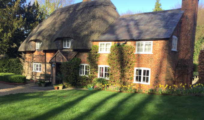 I love my thatched property: John Hambly